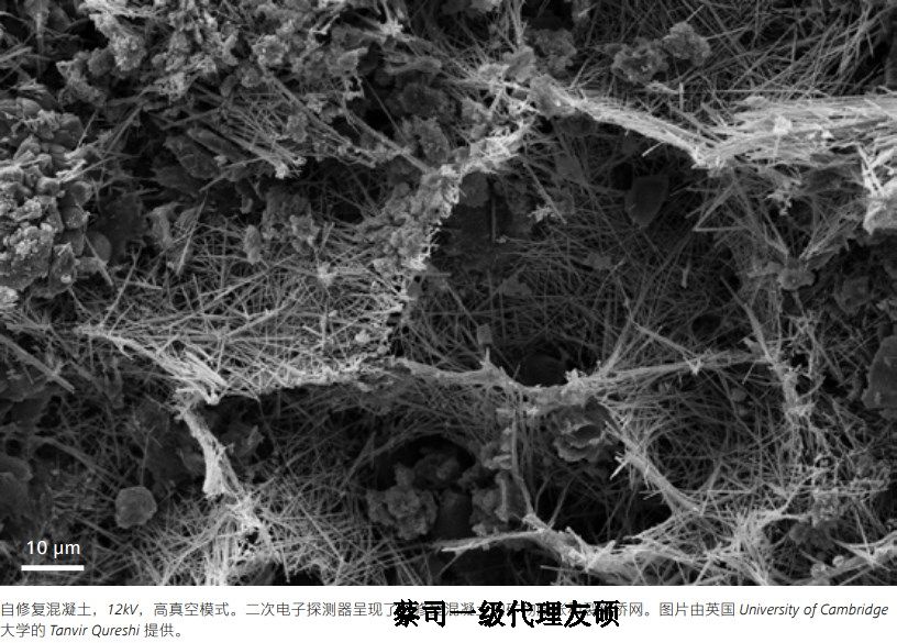 汉中蔡司汉中扫描电镜