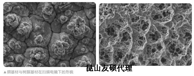 汉中蔡司汉中扫描电镜